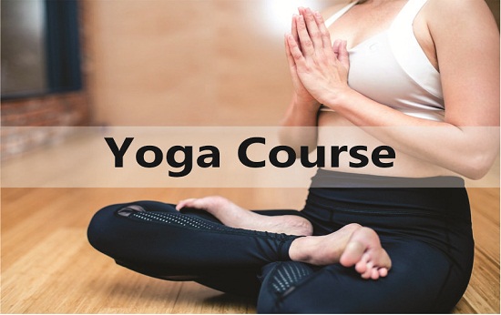 Diploma In Yoga Teacher Training (DYTT)     
